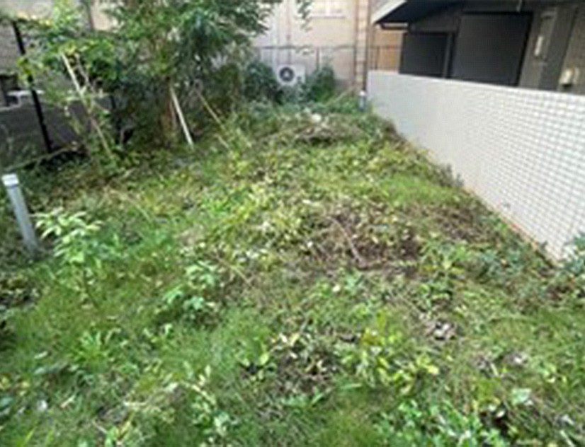 Before