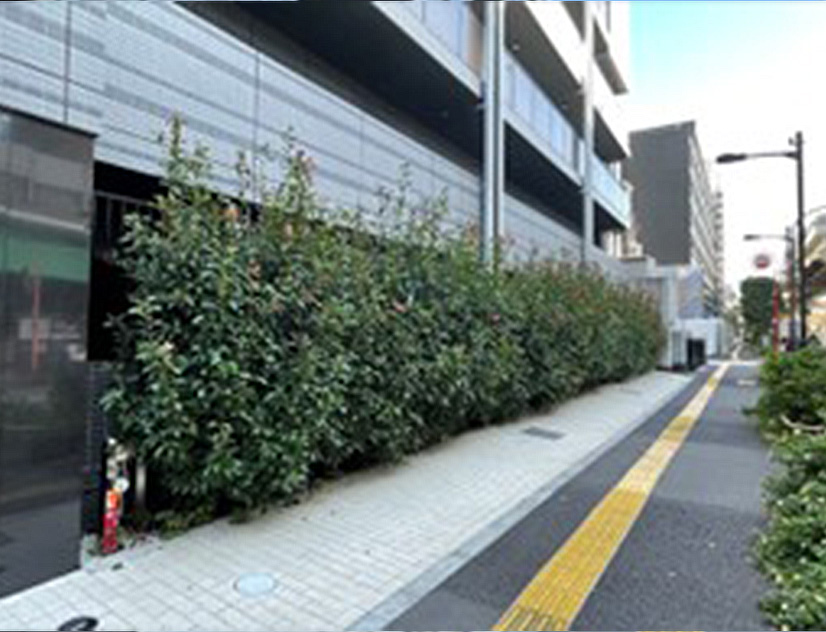 Before